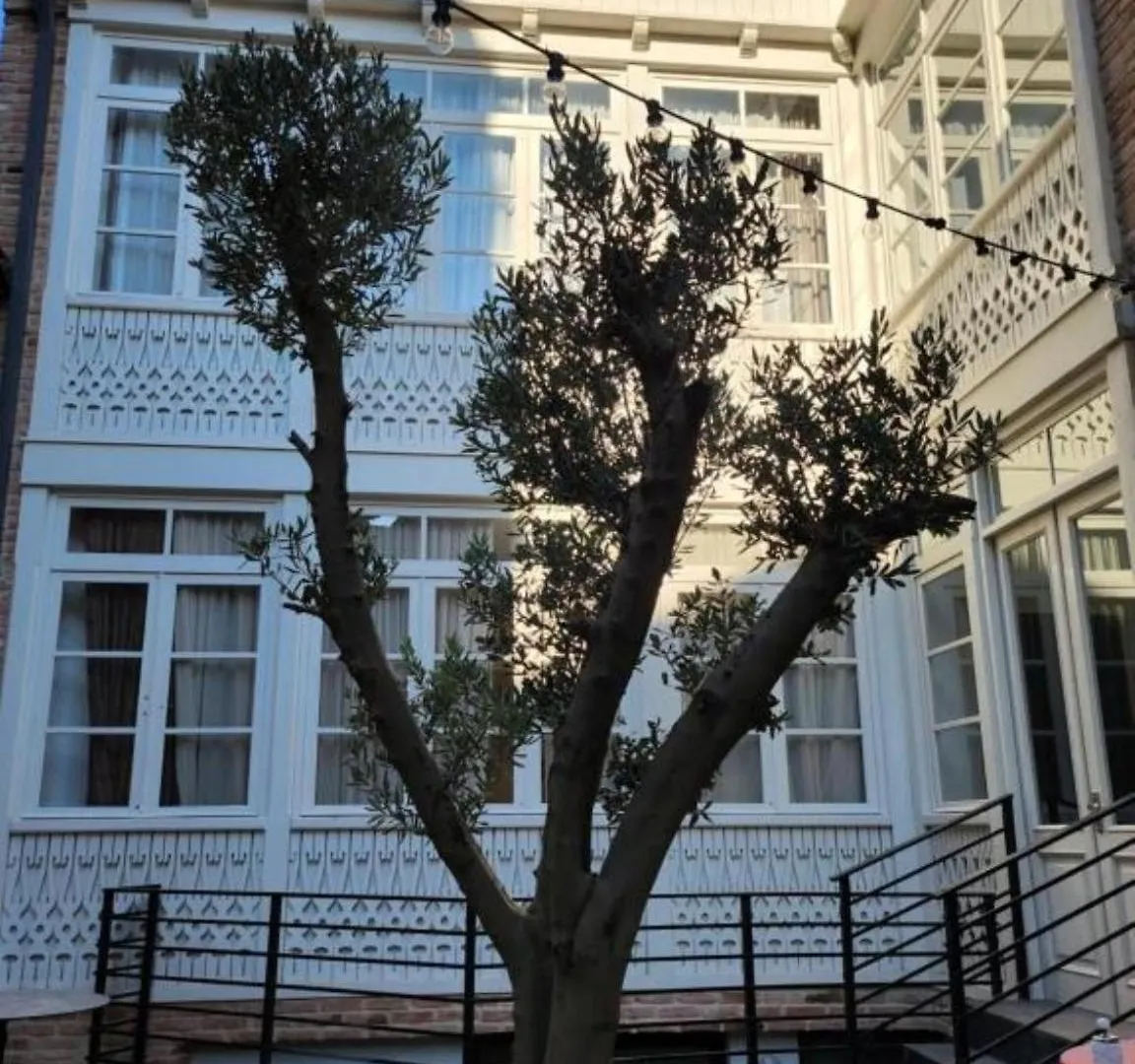 Comfort And History Tbilisi